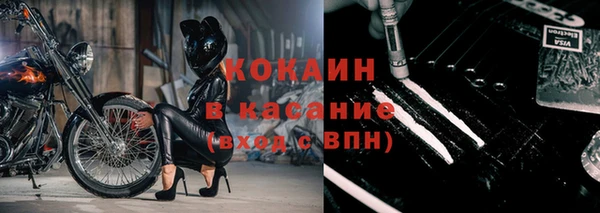 твердый Алзамай