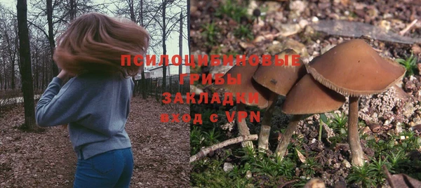 твердый Алзамай