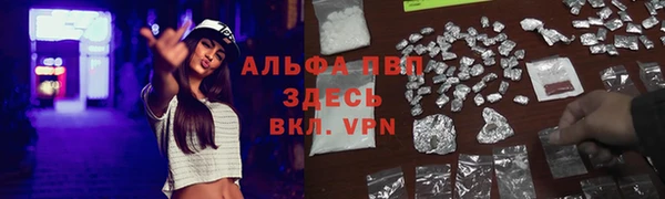 твердый Алзамай