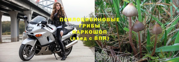 твердый Алзамай